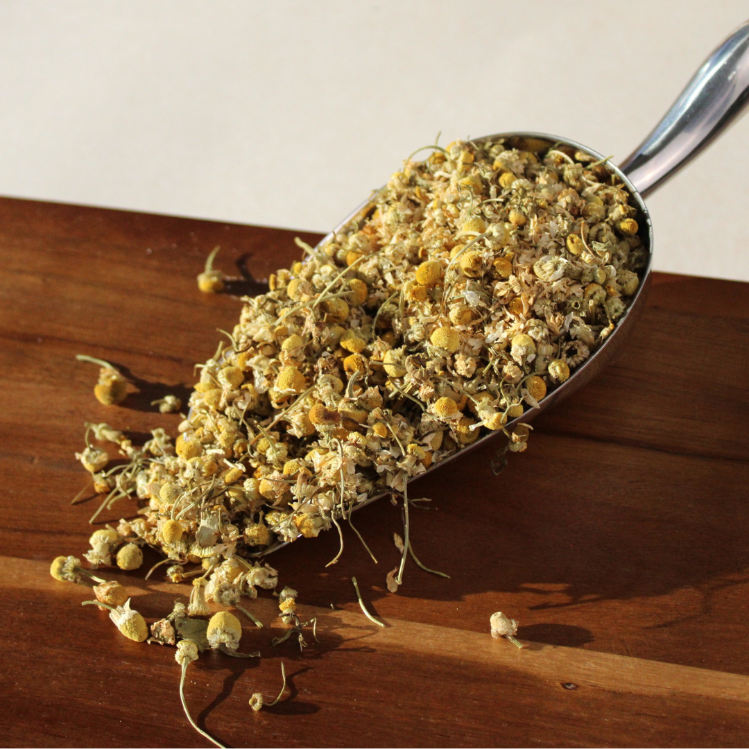 Organic chamomile flowers in a scoop, showcasing the premium grade whole blossoms.