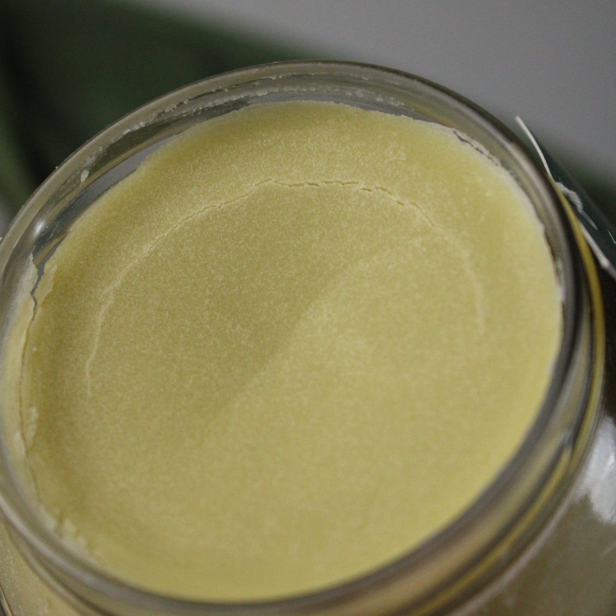 Close-up of a glass jar with a kawakawa balm inside, blurred background
